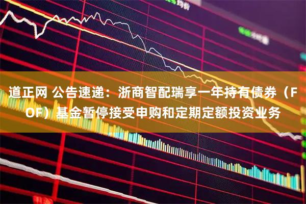 道正网 公告速递：浙商智配瑞享一年持有债券（FOF）基金暂停接受申购和定期定额投资业务