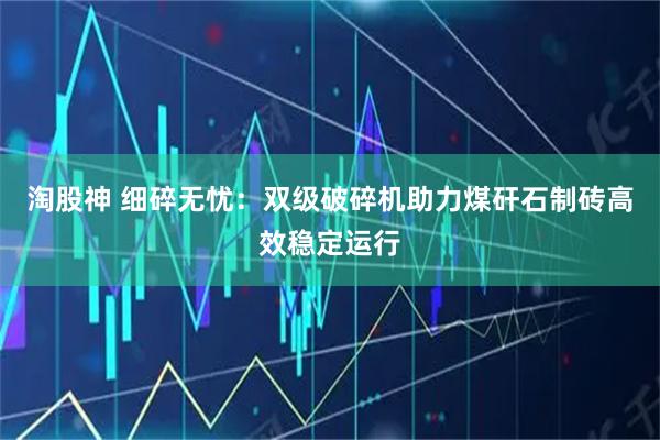 淘股神 细碎无忧：双级破碎机助力煤矸石制砖高效稳定运行