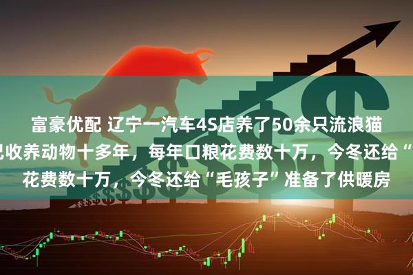 富豪优配 辽宁一汽车4S店养了50余只流浪猫狗，工作人员称老板已收养动物十多年，每年口粮花费数十万，今冬还给“毛孩子”准备了供暖房