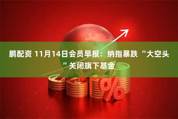 鹏配资 11月14日会员早报：纳指暴跌 “大空头”关闭旗下基金