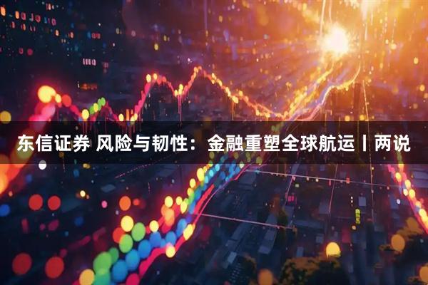 东信证券 风险与韧性：金融重塑全球航运丨两说